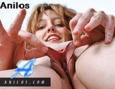 ANILOS.com – SITERIP